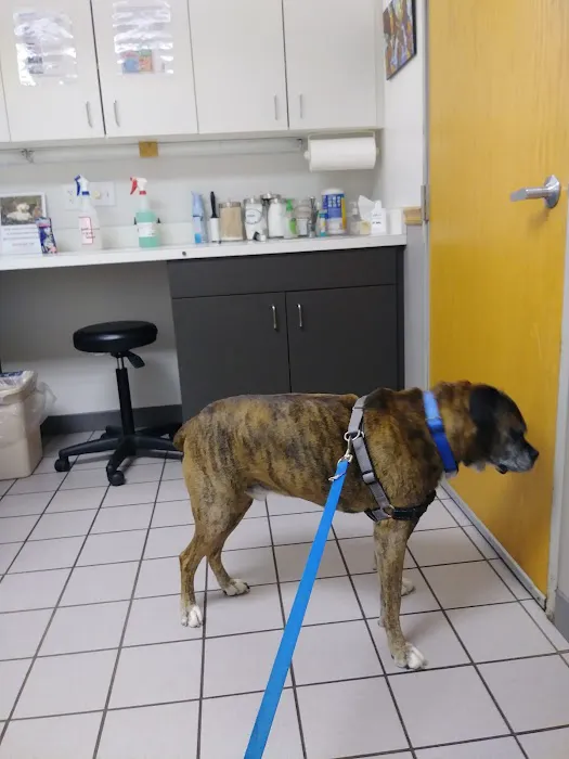 VCA Sheridan Animal Hospital 7