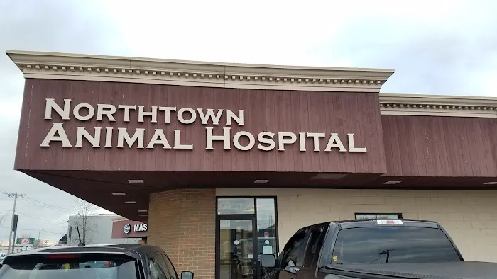 Northtown Animal Hospital 3