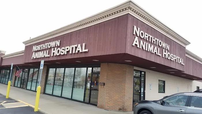 Northtown Animal Hospital 7