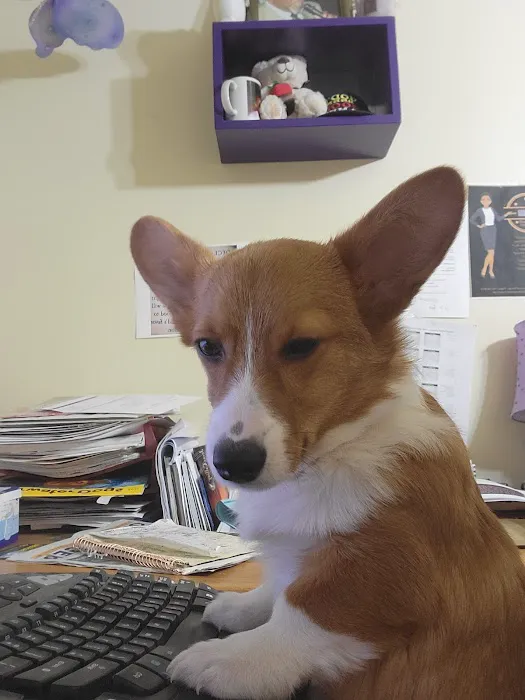 Brighton Eggert Animal Clinic and Pet Resort 2