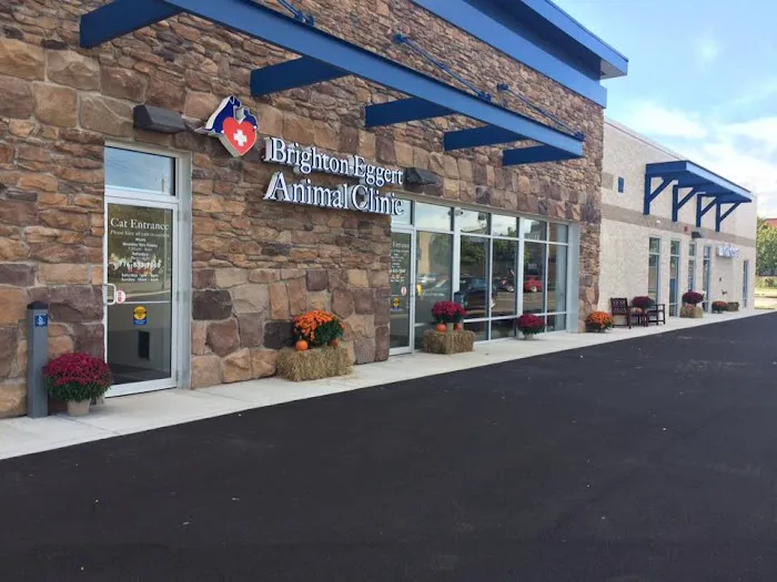 Brighton Eggert Animal Clinic and Pet Resort 7