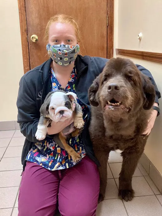 Ken-Ton Animal Clinic 9