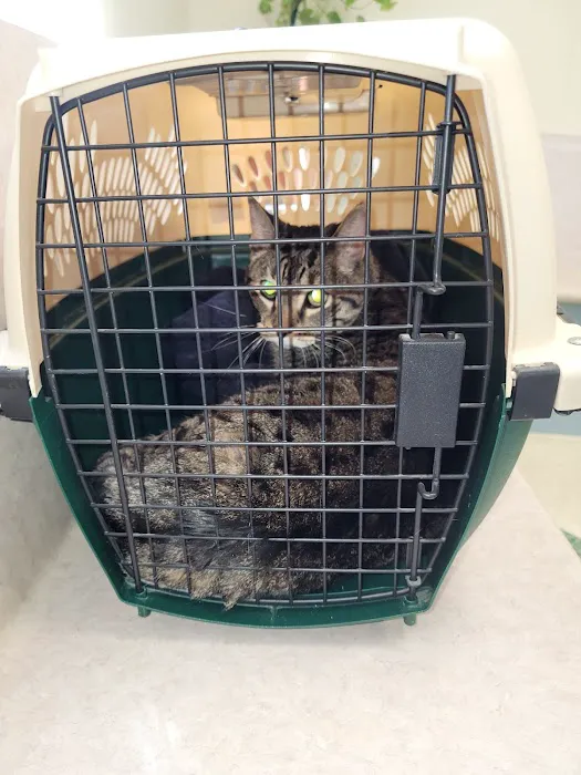 McBride Animal Hospital 1