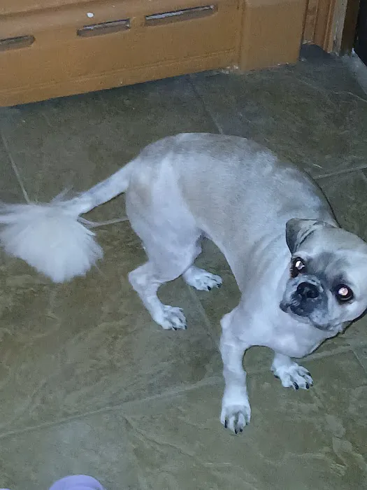 McBride Animal Hospital 4