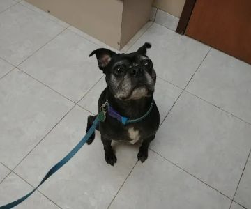 Amclare Veterinary Hospital