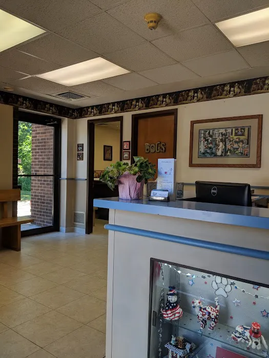 Amclare Veterinary Hospital 5