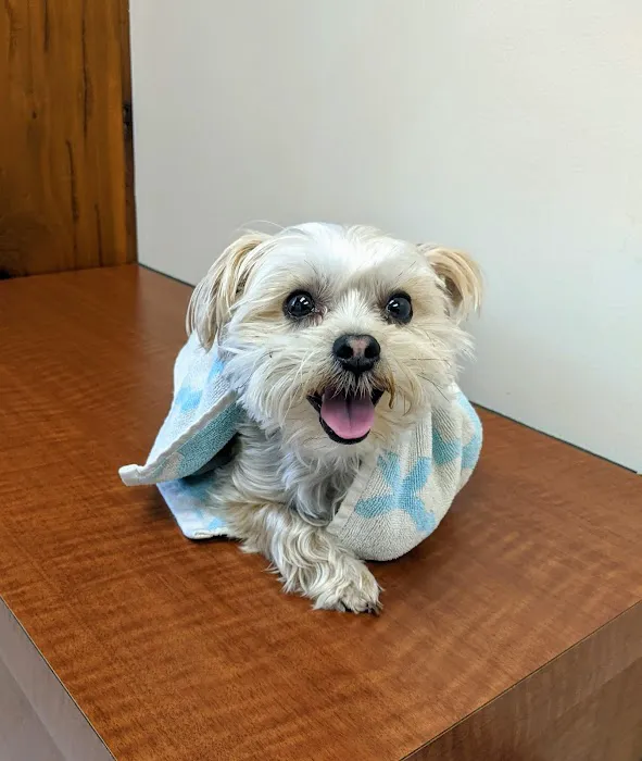 True Care Veterinary Hospital 2