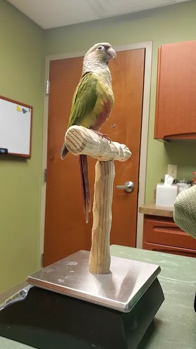 Specialized Care For Avian & Exotic Pets 3