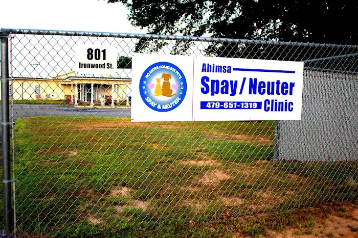 Ahimsa Rescue Foundation Spay/Neuter Clinic 6