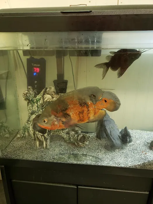 Sparkman Animal Clinic 3
