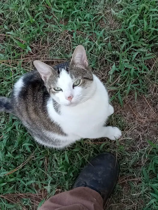 Sparkman Animal Clinic 5