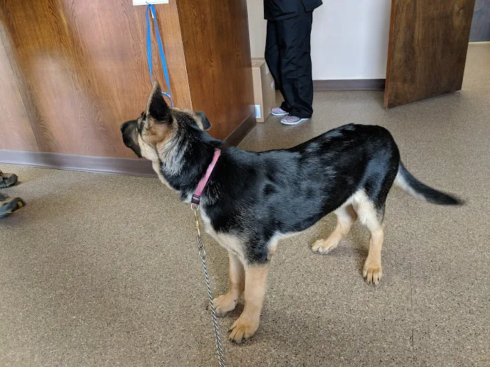 Spiro Veterinary Clinic Inc 2