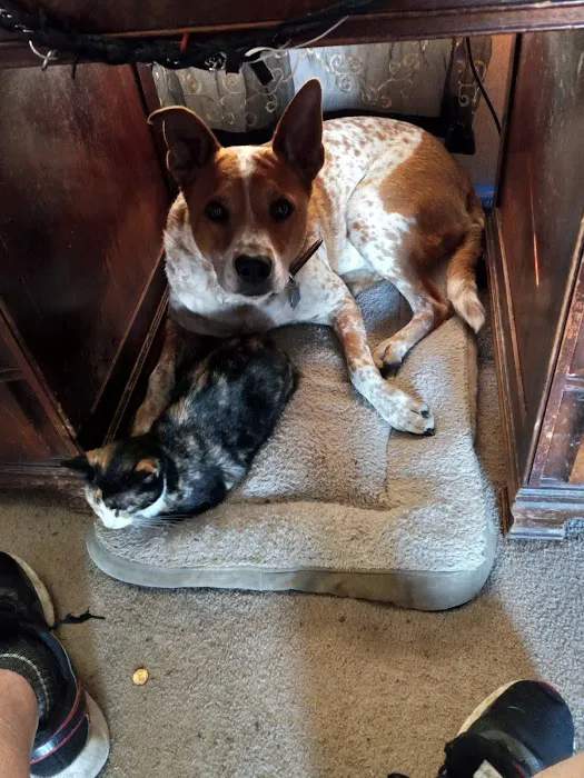 Spiro Veterinary Clinic Inc 5