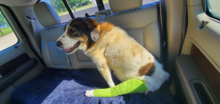 Spiro Veterinary Clinic Inc 3