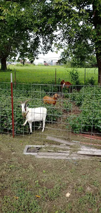 Spiro Veterinary Clinic Inc 7
