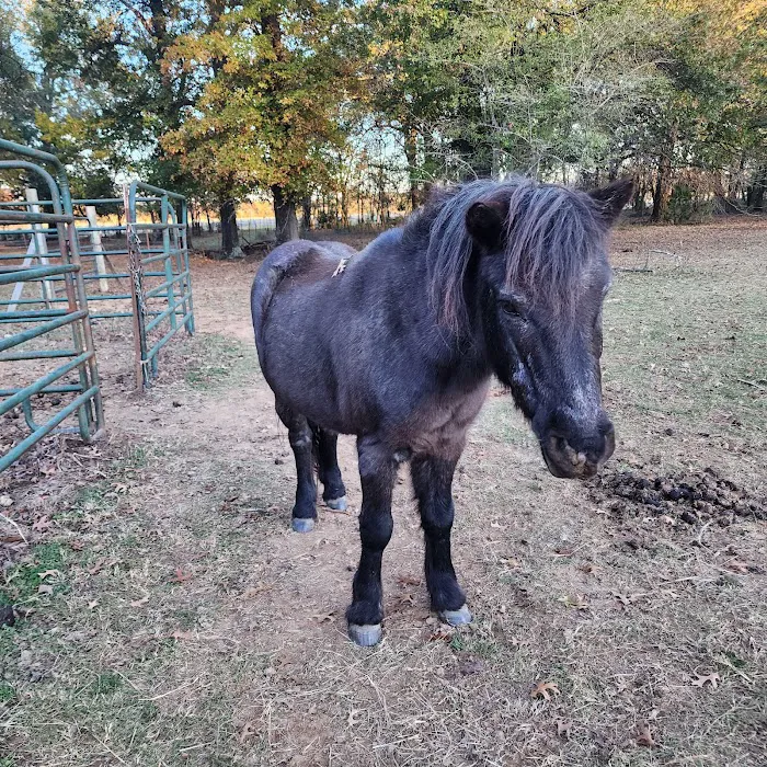 Mountain View Animal Clinic: Joe DuBois DVM 10