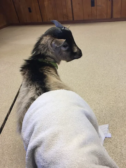 Mountain View Animal Clinic: Joe DuBois DVM 8