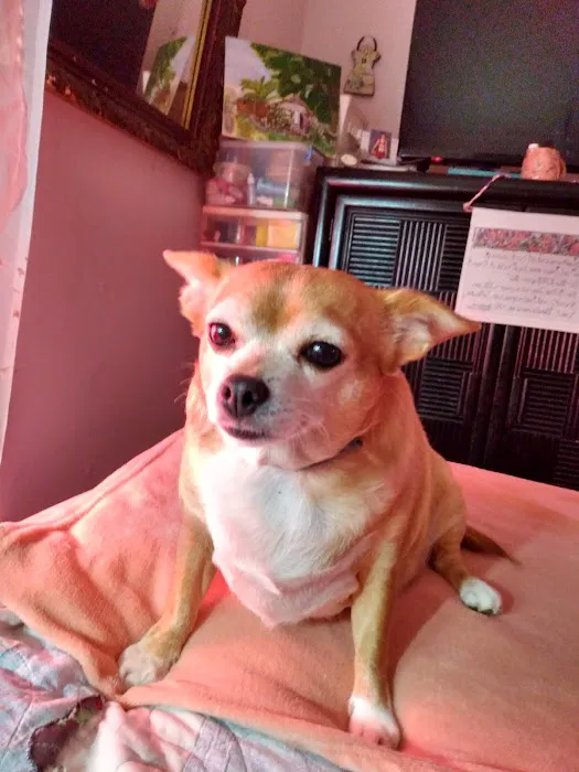 Mountain View Animal Clinic: Joe DuBois DVM 3