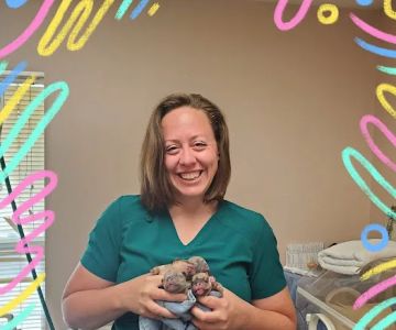 Poteau Valley Veterinary Hospital