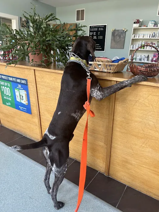 Village Veterinary 5