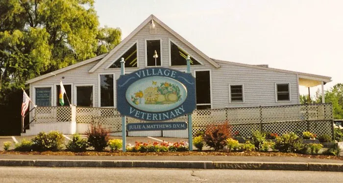 Village Veterinary 1