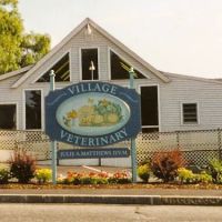 Village Veterinary ico