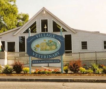 Village Veterinary