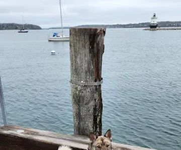 Veterinary and Rehabilitation Center of Cape Elizabeth