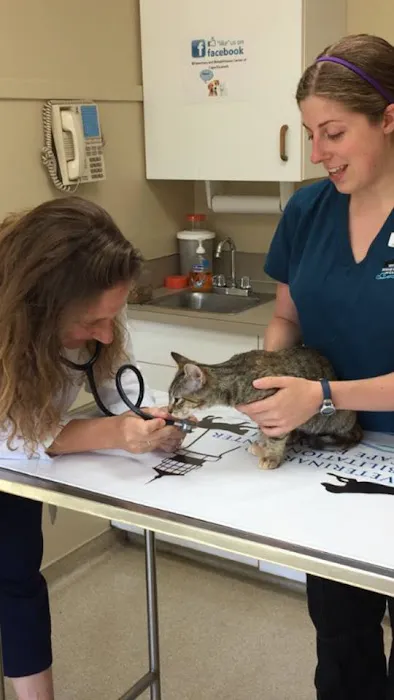 Veterinary and Rehabilitation Center of Cape Elizabeth 2