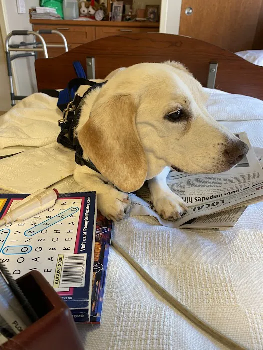 Veterinary and Rehabilitation Center of Cape Elizabeth 5