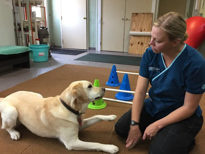 Veterinary and Rehabilitation Center of Cape Elizabeth 4