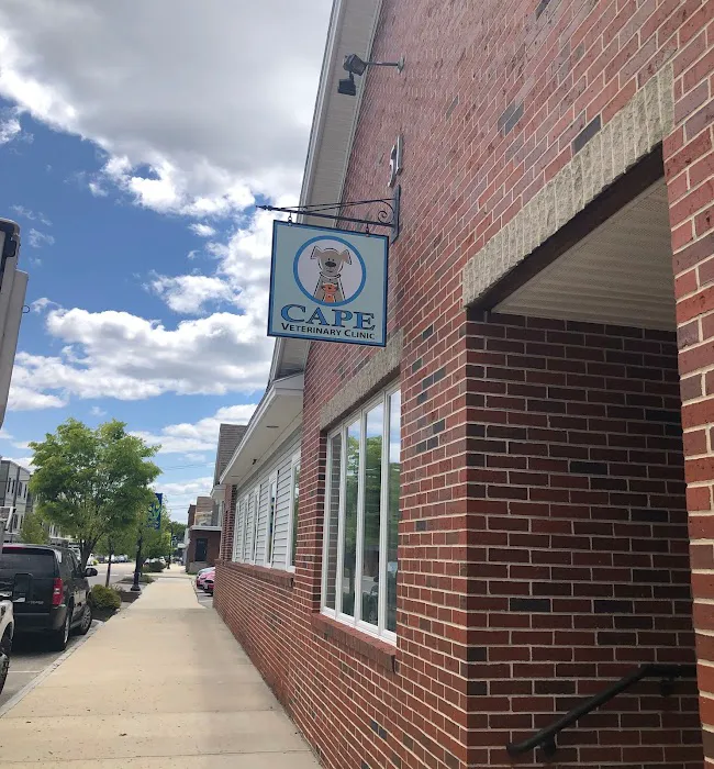 Cape Veterinary Clinic 7