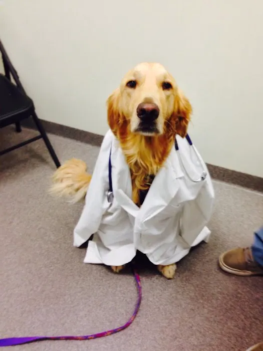 Cape Veterinary Clinic 5