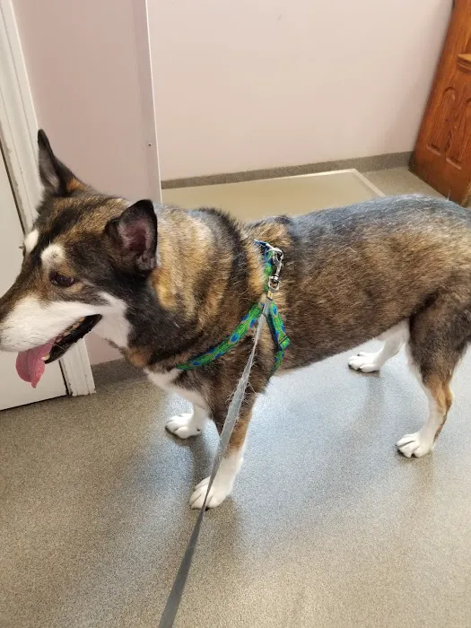 Cape Veterinary Clinic 9