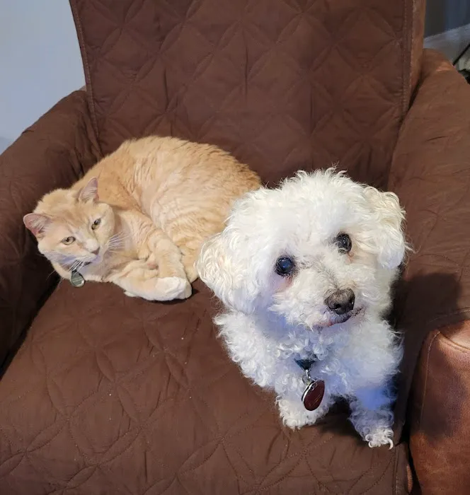 Rarebreed Veterinary Partners 2