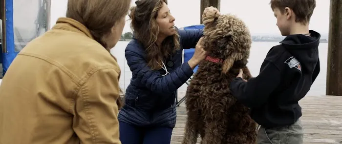 Island Veterinary Service 1