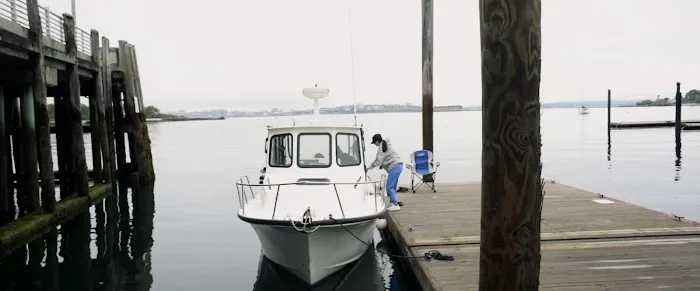 Island Veterinary Service 5