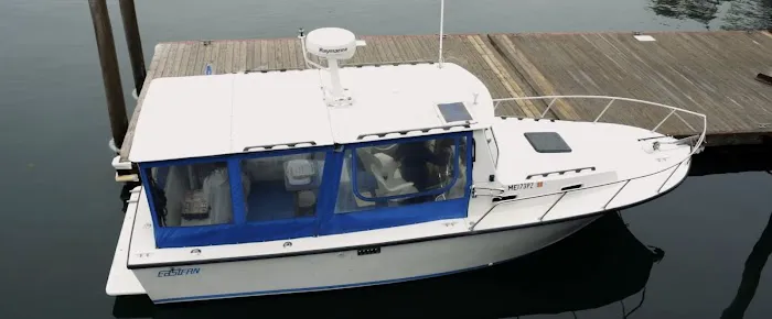 Island Veterinary Service 4