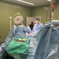 Annabessacook Veterinary Clinic ico
