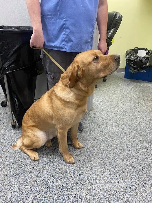 Annabessacook Veterinary Clinic 7