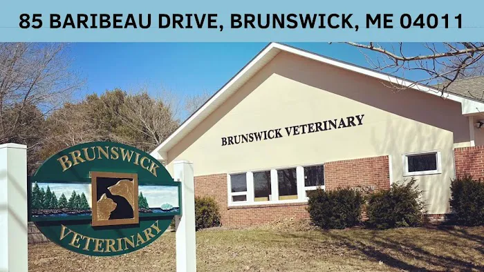 Brunswick Veterinary Clinic 8