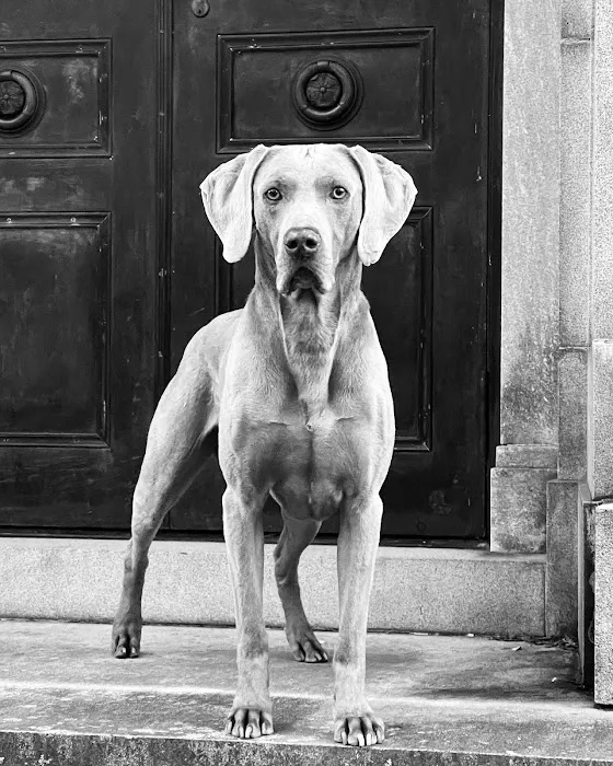 Brunswick Veterinary Clinic 4