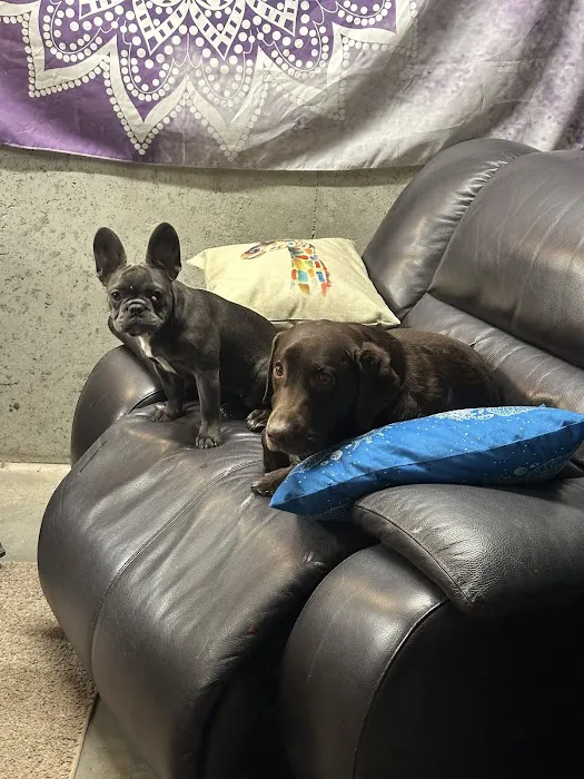 Brunswick Veterinary Clinic 1