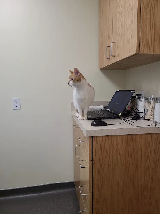 Topsham Veterinary Wellness Center 3