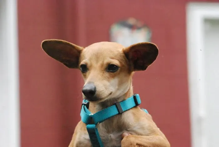Topsham Veterinary Wellness Center 9