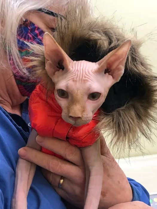 Sunray Animal Clinic 1