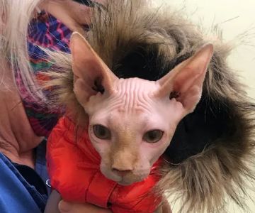 Sunray Animal Clinic