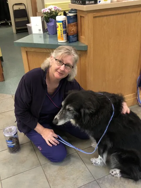 Sunray Animal Clinic 4