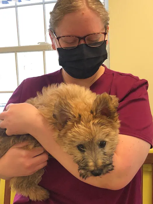 Sunray Animal Clinic 5