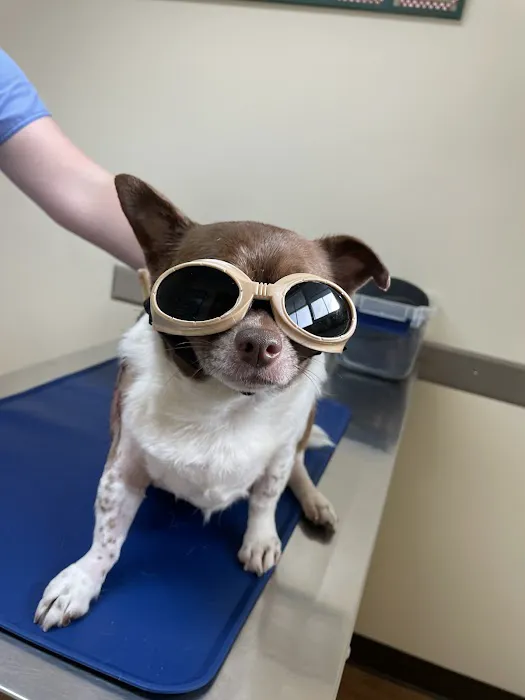 Mountain View Animal Hospital 2